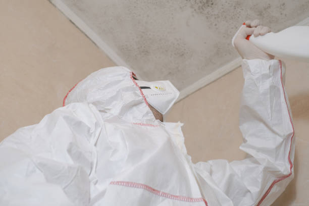 Best Mold Removal and Inspection  in Cross Lanes, WV